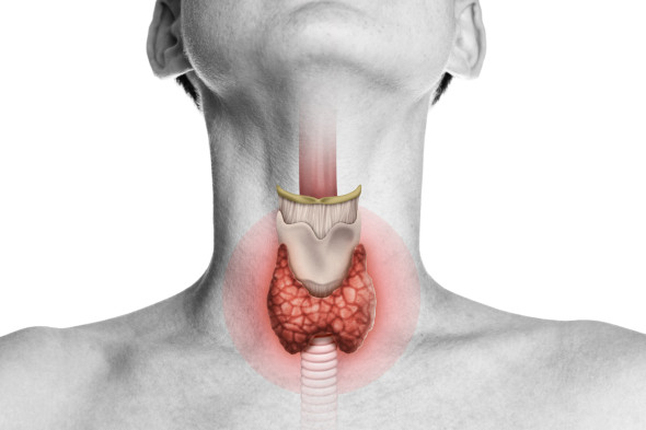 Thyroid Disorders and Dental Management