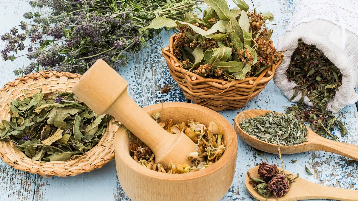 Phytothérapie, Compléments et Automédication en Odontologie